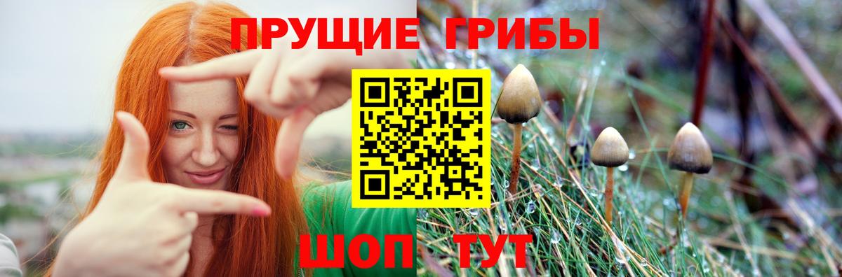 наркота  Галлюциногенные грибы Magic Shrooms  Уварово  Вход с VPN  Псилоцибиновые грибы прущие грибы 